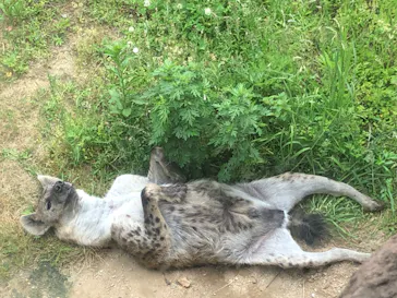 天王寺動物園に投稿された画像（2022/5/6）