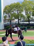 園田競馬場に投稿された画像（2022/5/6）