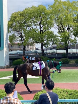 園田競馬場に投稿された画像（2022/5/6）