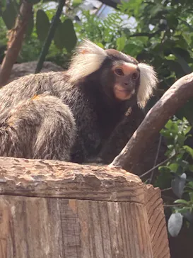 神戸どうぶつ王国に投稿された画像（2022/5/6）