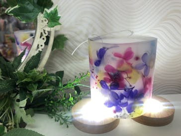 ずこうしつ〜sugamo〜に投稿された画像（2022/5/6）