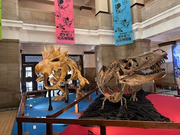 国立科学博物館　特別企画展「ポケモン化石博物館」に投稿された画像（2022/5/6）