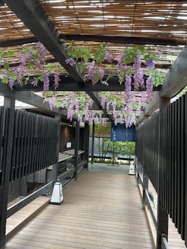 箱根湯寮に投稿された画像（2022/5/6）