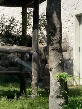 天王寺動物園に投稿された画像（2022/5/6）