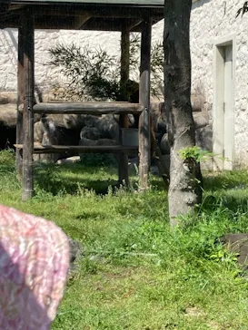天王寺動物園に投稿された画像（2022/5/6）