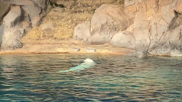 名古屋港水族館に投稿された画像（2022/5/6）