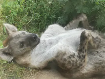天王寺動物園に投稿された画像（2022/5/6）