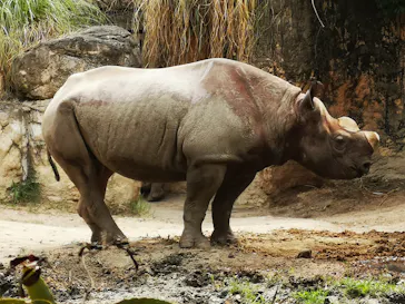 天王寺動物園に投稿された画像（2022/5/6）