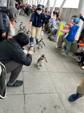 城崎マリンワールドに投稿された画像（2022/5/6）