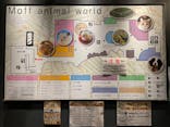 Moff animal world MARK IS みなとみらい店に投稿された画像（2022/5/6）