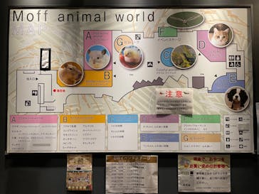 Moff animal world MARK IS みなとみらい店に投稿された画像（2022/5/6）