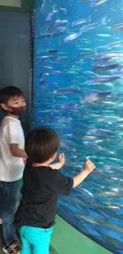 アクアワールド茨城県大洗水族館に投稿された画像（2022/5/6）