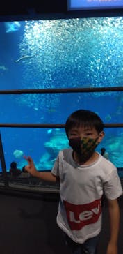 アクアワールド茨城県大洗水族館に投稿された画像（2022/5/6）