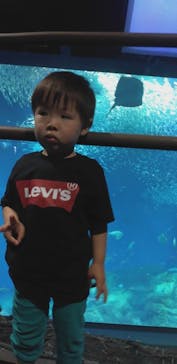 アクアワールド茨城県大洗水族館に投稿された画像（2022/5/6）