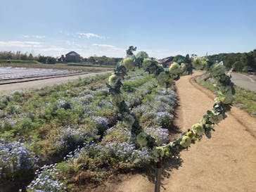 淡路ファームパーク イングランドの丘に投稿された画像（2022/5/6）