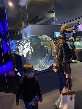 名古屋港水族館に投稿された画像（2022/5/6）