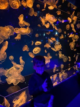 名古屋港水族館に投稿された画像（2022/5/6）