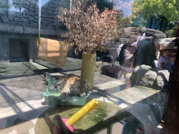 天王寺動物園に投稿された画像（2022/5/6）