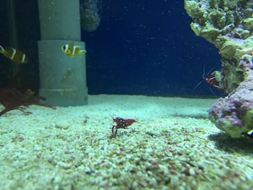 名古屋港水族館に投稿された画像（2022/5/6）