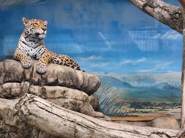 天王寺動物園に投稿された画像（2022/5/6）