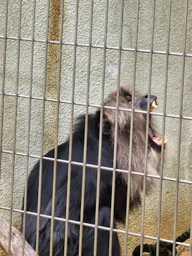 天王寺動物園に投稿された画像（2022/5/6）