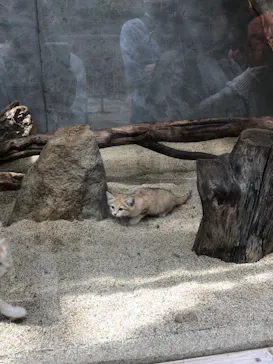 神戸どうぶつ王国に投稿された画像（2022/5/6）