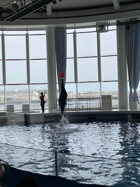 アクアワールド茨城県大洗水族館に投稿された画像（2022/5/6）