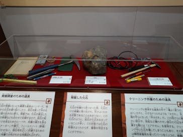 国立科学博物館　特別企画展「ポケモン化石博物館」に投稿された画像（2022/5/6）