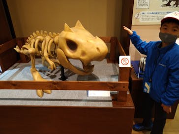 国立科学博物館　特別企画展「ポケモン化石博物館」に投稿された画像（2022/5/6）