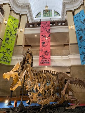国立科学博物館　特別企画展「ポケモン化石博物館」に投稿された画像（2022/5/6）