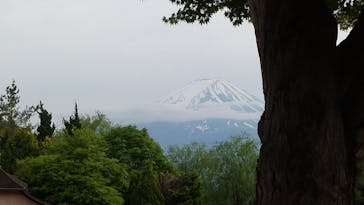 河口湖 音楽と森の美術館に投稿された画像（2022/5/6）