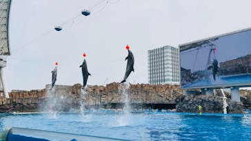 名古屋港水族館に投稿された画像（2022/5/6）