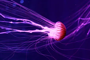 すみだ水族館に投稿された画像（2022/5/6）