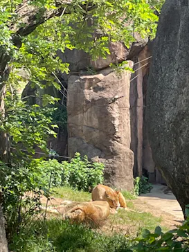 天王寺動物園に投稿された画像（2022/5/6）