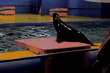 ゼロ距離水族館 伊勢シーパラダイスに投稿された画像（2022/5/6）