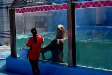 ゼロ距離水族館 伊勢シーパラダイスに投稿された画像（2022/5/6）