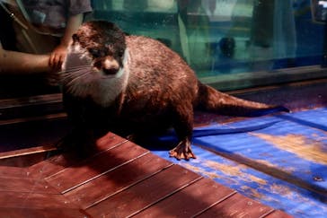 ゼロ距離水族館 伊勢シーパラダイスに投稿された画像（2022/5/6）