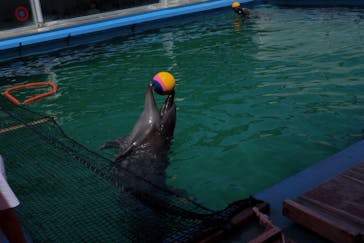 ゼロ距離水族館 伊勢シーパラダイスに投稿された画像（2022/5/6）
