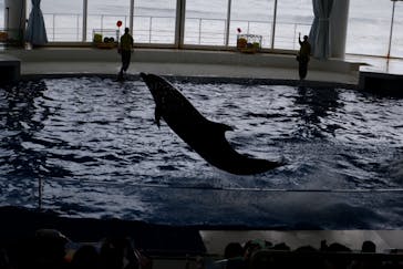 アクアワールド茨城県大洗水族館に投稿された画像（2022/5/6）