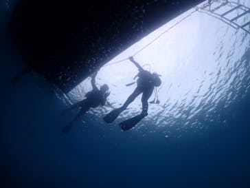 ダイブロックに投稿された画像（2022/5/6）