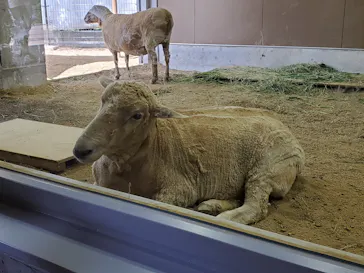 天王寺動物園に投稿された画像（2022/5/6）