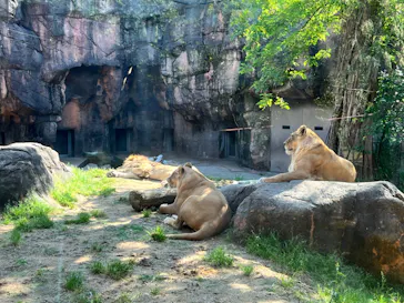 天王寺動物園に投稿された画像（2022/5/6）
