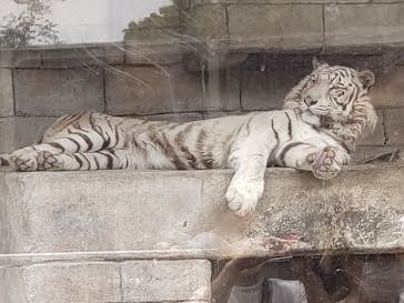 東武動物公園に投稿された画像（2022/5/6）