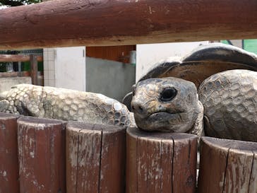 東武動物公園に投稿された画像（2022/5/6）