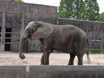 東武動物公園に投稿された画像（2022/5/6）