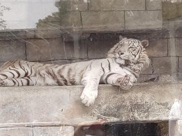 東武動物公園に投稿された画像（2022/5/6）