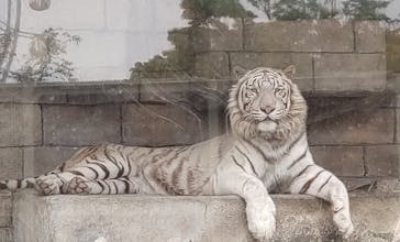 東武動物公園に投稿された画像（2022/5/6）