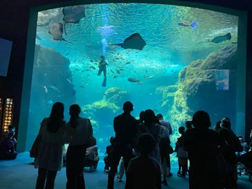 新江ノ島水族館に投稿された画像（2022/5/6）