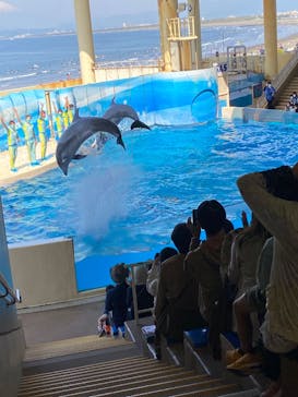 新江ノ島水族館に投稿された画像（2022/5/6）