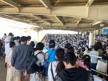 新江ノ島水族館に投稿された画像（2022/5/6）